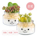 観葉植物 人工 フェイクグリーン ミニ おしゃれ 消臭アーティフィシャルグリーン(L) ファミーユ ナタリー インテリア 雑貨 置物 鉢植 かわいい リアル