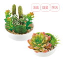 観葉植物 人工 フェイクグリーン 多肉植物 ミニ おしゃれ 消臭アーティフィシャルグリーン サキュレントリフレリウム インテリア 雑貨 かわいい 鉢植 置物