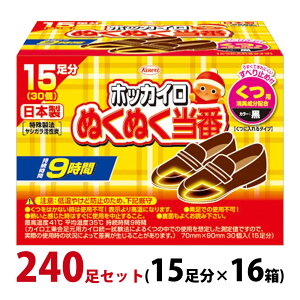 ホッカイロ ぬくぬく当番 くつ用 240足セット(15足分×16個) 使い捨てカイロ 足 貼らない 靴に入れる 日本製 【使用期限：2024年4月】