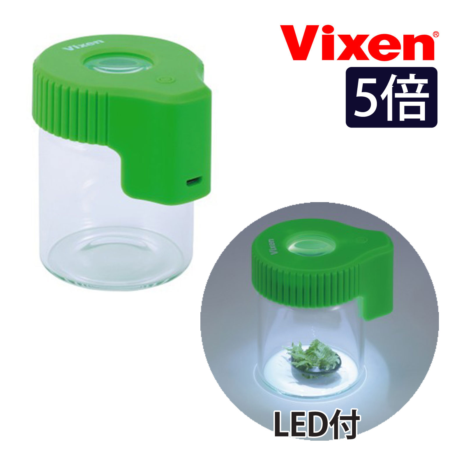LED ルーペ 観察ボトル 虫眼鏡 倍率 便利 コンパクト