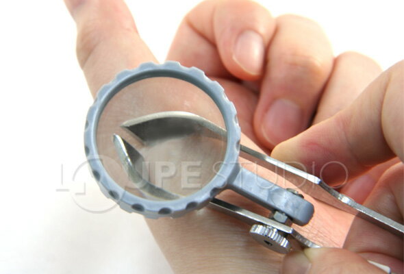 �Ȥ�ȴ���ѥ롼�� 1950 6�� 30mm �����դ� �ȥ�ȴ�� �Ȥ�ȴ�� �Ȥ��̤� ��ȴ�� �롼�� ���ĥ�� ��LIFE IS MONEY�ǾҲ����