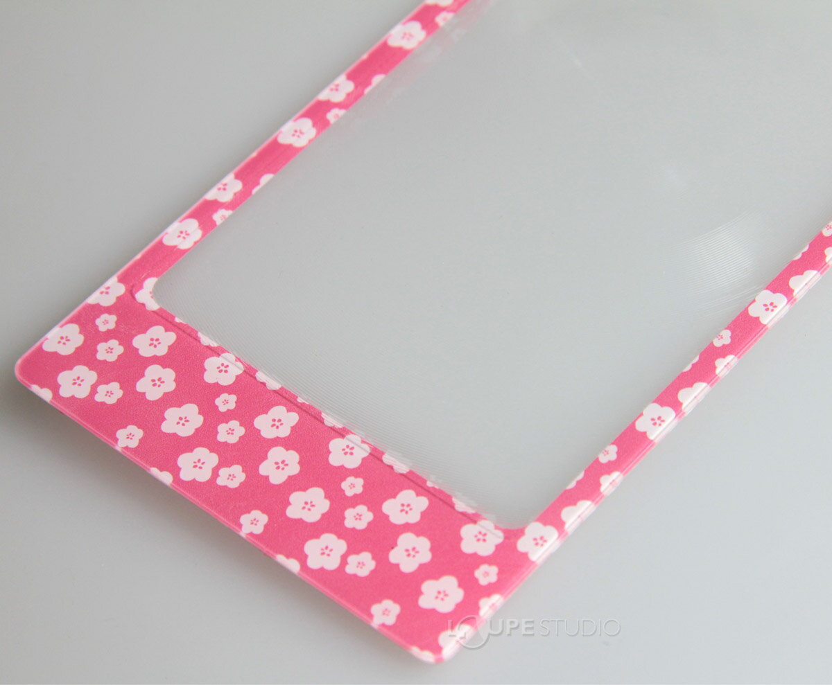 �����ɥ롼�� ���� �����ȥ�� 019-AC 2�� 78��150mm ��Ģ������ ������� ��������� ���� �ե� �ե����� ������롼�� ���ĥ��