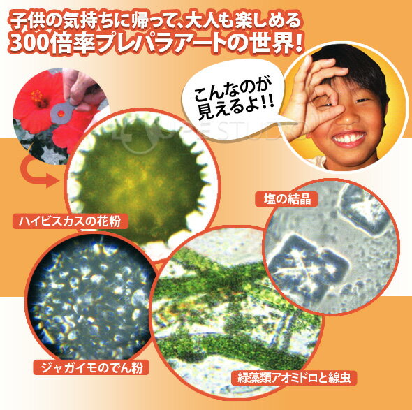 ���ޥۤǸ���� ������ �����ѡ��롼�� 300�� �����Ǿ����������� �ǥ����������ѥ롼�� ���� ����� SUP-300 �ޥ������������� ���ޥ� ���������꡼ ��ͳ���� �ѻ� iPhone Android ����ɥ�����