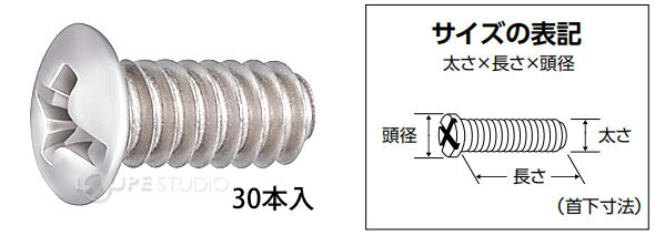 部品 ねじ メガネ 眼鏡 修理 交換 メンテナンス 眼鏡店 P-434 +-ネジ 30本入 日本製 2