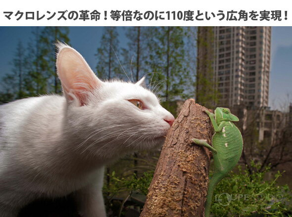 thum3