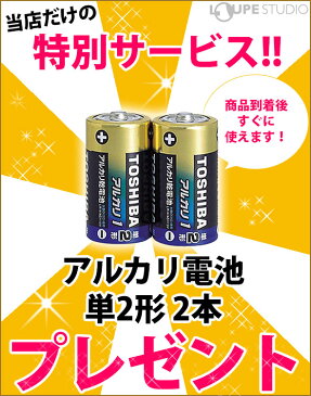 スピードガン スピードスターV 国内正規品 ブッシュネル 野球 テニス ボール バドミントン 速度計測