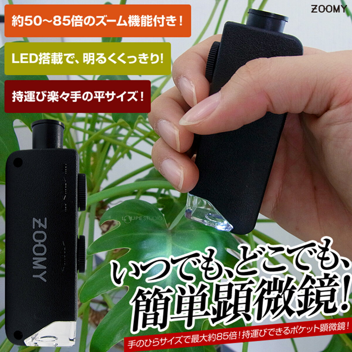 顕微鏡 子供 倍率 LED ライト付き 小型 ZOOM マイクロスコープ 50〜85倍 印刷物 検査 点検 製品 部品検査 自然観察 とげぬき 自由研究 小学生