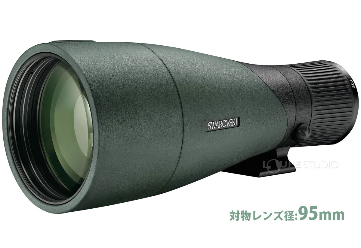 ������ե����� 95mm��ʪ��󥺥�˥å� �ե�����ɥ��������� �Ͼ�˾��� ���ݥåƥ��󥰥�������