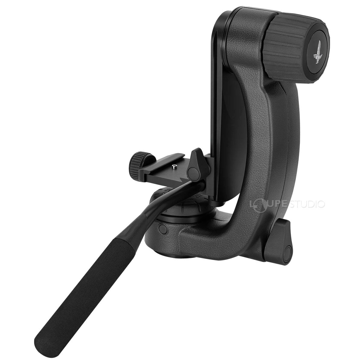 ������ե����� PTH ���ӥإå� ����ѥ��� ���� ������ ���������꡼