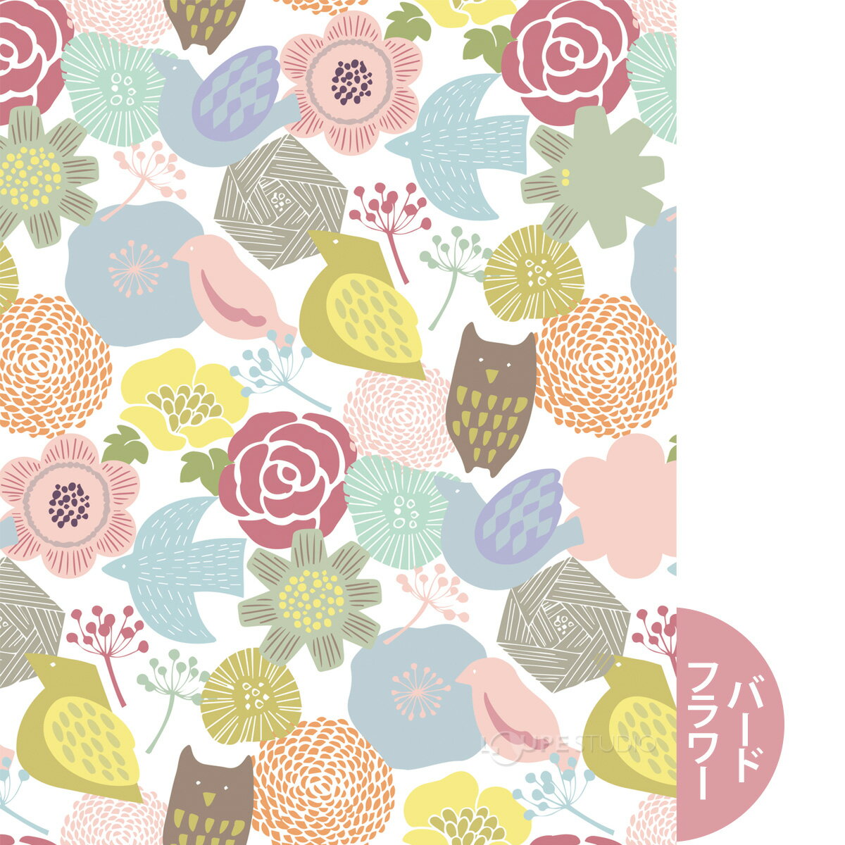 �ᥬ�Ϳ��� ������ ���� ���� ��������� �ᥬ�� ��� �ѥե塼�९�꡼�˥󥰥����� 12��15cm 10�祻�å� �͵� ���꡼�ʡ� �������� �ޥ������ѻ� �ץ쥼���