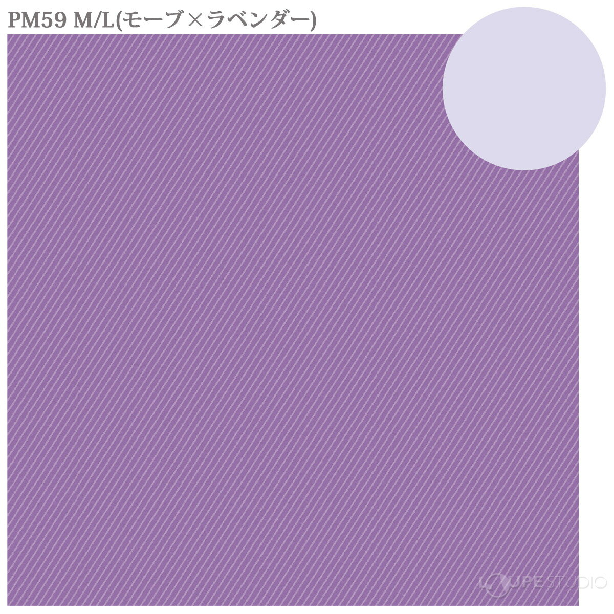 ��󥺥����� �ᥬ�Ϳ��� ��С����֥륯���� 24cm��24cm ��� �ȥ쥷�� ���顼������