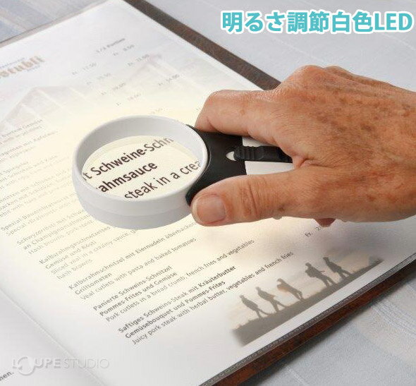 ルーペ LEDライト付き 携帯 シュバイツァー エルゴラックスMP 8D/2倍 四角100x75mm S164082 SCHWEIZER 虫眼鏡 拡大鏡 観察 プレゼント ギフト 読書