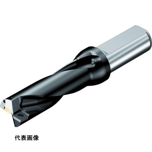 穴あけ工具 SANDVIK 刃先交換式ドリル スーパーUドリル(465) [880-D2100L25-04] 販売単位：1 送料無料