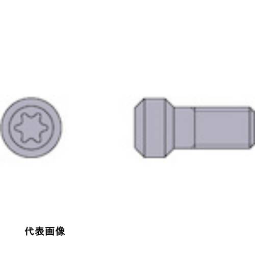 三菱 切削工具用部品 クランプねじ [TS254] 販売単位：1