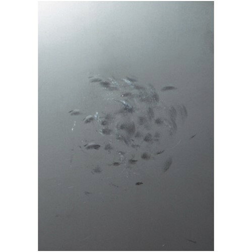 ルーペスタジオのOH フラット板金ハンマー(横ナラシ)#3/4 [FBY-07] 販売単位：1 送料無料｜アングル3