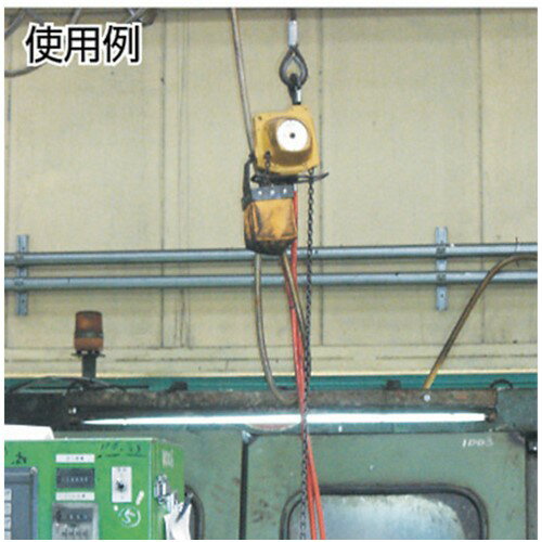 ENDO エアーホイスト AT-125K 125kg 3m [AT-125K] 販売単位：1 送料無料