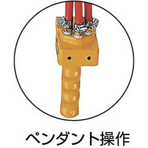 ENDO エアーホイスト AT-125K 125kg 3m [AT-125K] 販売単位：1 送料無料
