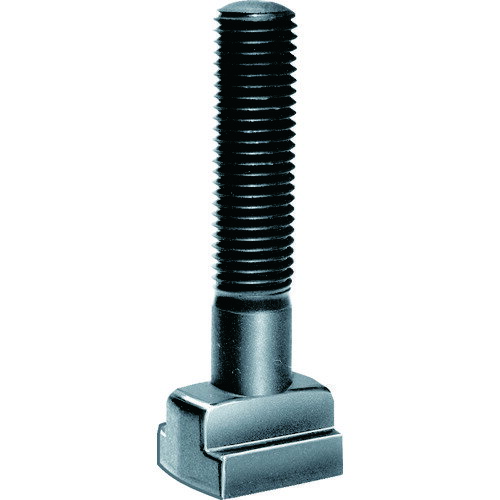 SUPER Tスロットボルト(M12)T溝:12 H(mm):100 [TBM-12100] 販売単位：1
