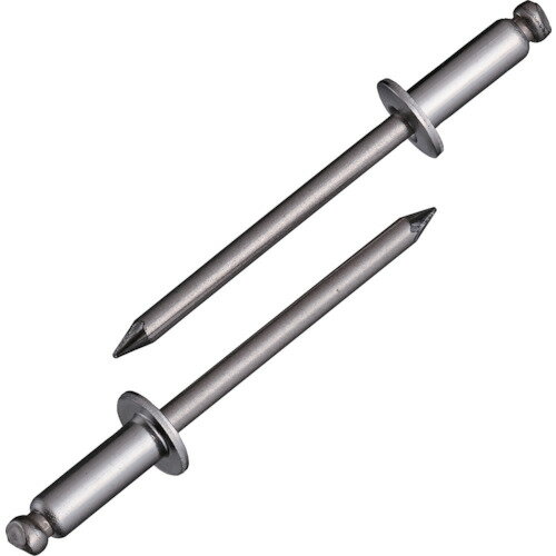 エビ ブラインドリベット(ステンレス/ステンレス製) 6-6(150本入) エコBOX [NST66EB] 販売単位：1 送料無料
