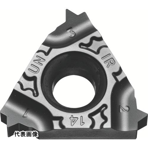 �����˥󥰥��å� ������ ��¤ͤ��ڤ�ù��ѥ��å� (��˥ե����ͤ� UN) PR1115 [16IR12UN-TF PR1115] 5�ĥ��å� ����̵��