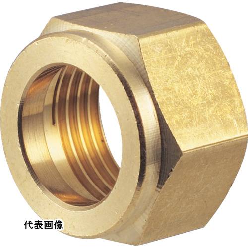 継手 配管 ネジ ねじ 建築 TRUSCO トラスコ中山 ナット 10mm 20個入 工事 [TS-N10] 販売単位：1