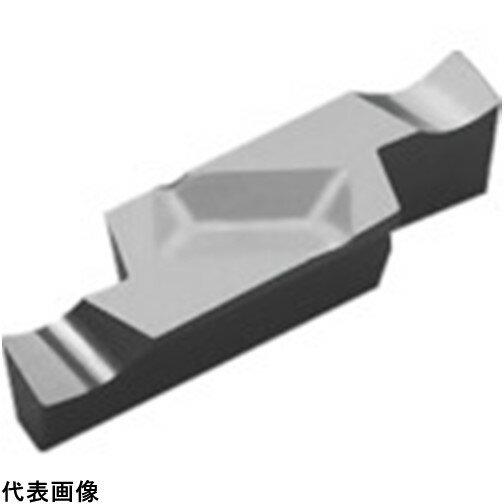  ü̹ùѥå GVF R/L KW10   [GVFR300-020B KW10] 10ĥå ̵