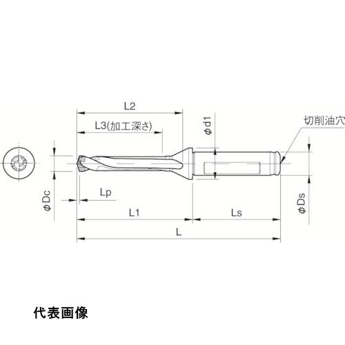 �ɥ��󥰥ɥ�� ������ �ޥ��å��ɥ���ѥۥ�� SF-DRC �ù�����5��DC [SF16-DRC105M-5] ����ñ�̡�1 ����̵��