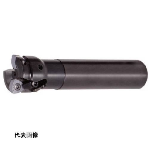 乐天商城 - ミーリングエンドミル タンガロイ ミル・フィード 柄付きカッタ EXP [EXP06026RS] 販売単位：1 送料無料