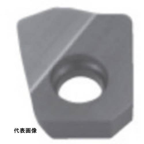 タンガロイ 転削加工用インサート PVDコーティング DS1200 工具 フライス加工 ミーリングチップ [XXGT09X408FC-AJ DS1200] 10個セット 送料無料