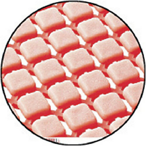 ����ɥ� ��­���Υ� �ܶ� �� [F-163-HK-G GN] ����ñ�̡�1