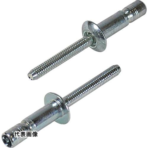 エビ 高強度ブラインドリベット Sボルト(丸頭) Φ6.4/板厚9.5mm (100本入) [SNS64095EB] 販売単位：1 送料無料