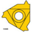 三菱 MMTシリーズ 内径ねじ切り加工 MMTIバイト用 PVDコーティング 全面研削形インサート VP10MF 切削 工具 チップ フライス加工 削る フライ...