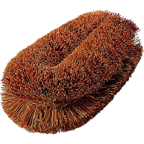 TRUSCO トラスコ中山 ナチュラルブラシ「いがぐり君」 110mm [TW-S] 販売単位：1