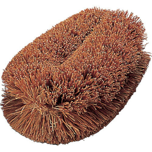 TRUSCO トラスコ中山 ナチュラルブラシ「いがぐり君」 140mm [TW-M] 販売単位：1