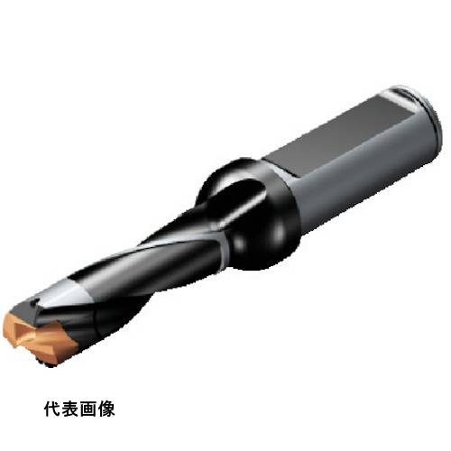 ドリリングドリル SANDVIK コロドリル870 ヘッド交換式ドリル(446) [870-1700-17L20-5] 販売単位：1 送料無料