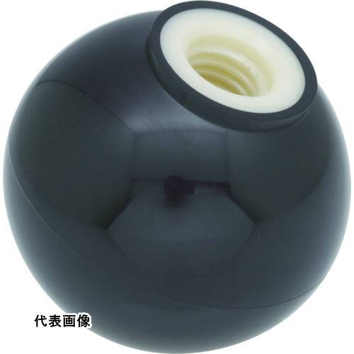   TRUSCO ȥ饹滳  Ķʤ  25M6mm [P-TPB25-6BK] ñ̡1