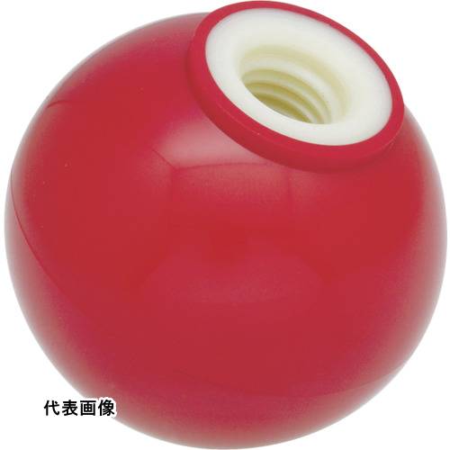   TRUSCO ȥ饹滳  Ķʤ  25M6mm [P-TPB25-6R] ñ̡1