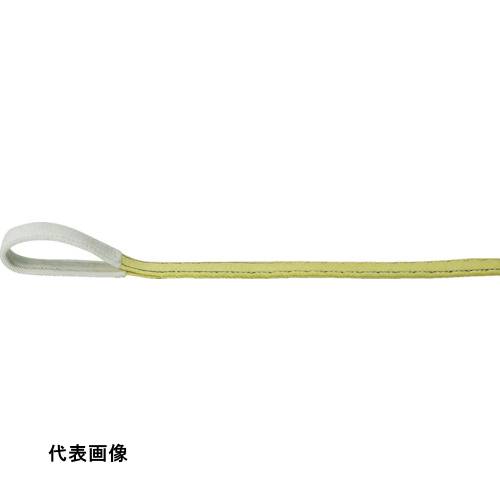 TRUSCO トラスコ中山 ポリエステルスリング JIS3等級 両端アイ形 25mmX2.5m [TPS25-25] 販売単位：1