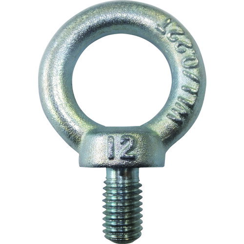 工具 ボルト ネジ 吊り下げ 吊るす ねじ 荷役 タケネ アイボルト(鉄製) (1個=1袋) [TAI12022] 販売単位：1