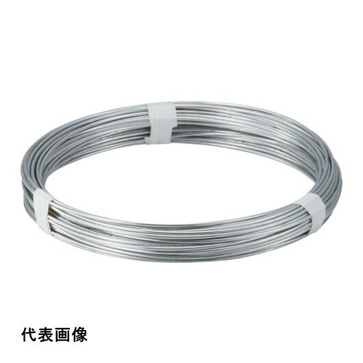 TRUSCO トラスコ中山 スチール針金 #16 線径1.6mm 1kg 溶融亜鉛メッキ [TYW-16] 販売単位：1 1