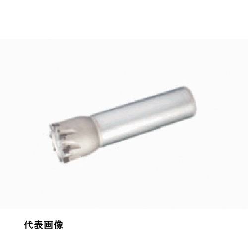 ミーリングエンドミル タンガロイ タング・クアッド 柄付きカッタ EPD05 [EPD05R012M12.0-02] 販売単位：1 送料無料