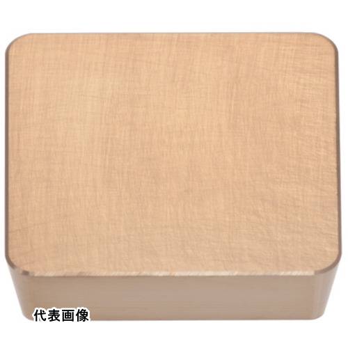 ˥󥰥å 󥬥 ùѥ󥵡 CVDƥ T5115 [SPMN120312 T5115] 10ĥå ...