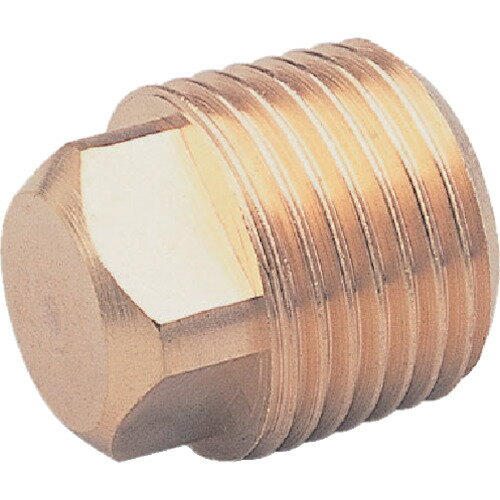 継手 配管 ネジ ねじ 建築 ASOH 四角プラグ PT1/2 工事 [NP-1004] 販売単位：1