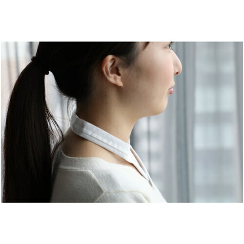 TRUSCO �ȥ饹���滳 �ں߸˸¤�ۥ��󥰥����� [LDW1P] LDW1P ����ñ�̡�1