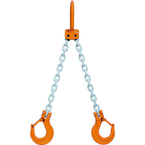 象印 チェーンスリング100(ピンタイプ) [2-W-H-5] 販売単位：1 送料無料