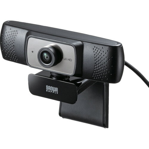 SANWA 会議用ワイドレンズカメラ [CMS-V53BK] CMSV53BK 販売単位：1 送料無料