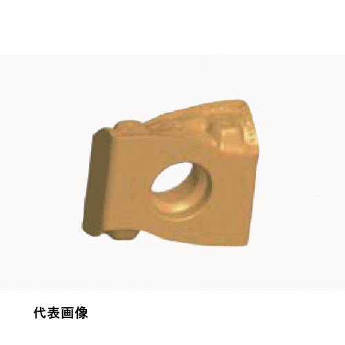 ˥󥰥å 󥬥 󡦥ƥå 󥵡 LNMX R/L-TDR COAT [LNMX241024R-TDR T9115] 10ĥå ...