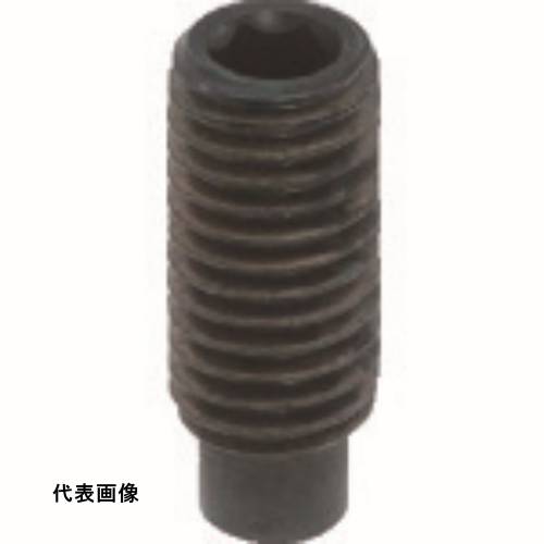 TRUSCO �ȥ饹���滳 ϻ�ѷ��ջߤ�ͤ� ���� �������� M12��12 10���� [Y102-1212] Y1021212 ����ñ�̡�1