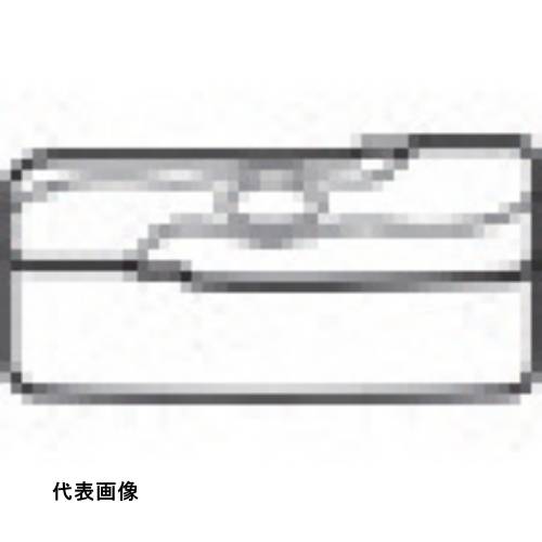 タンガロイ 部品 敷金 [TSL16RI] 2個セット