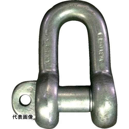 TAIYO JISシャックル M級 ドブ SC-6(1012503) [JSC6G] 販売単位：1